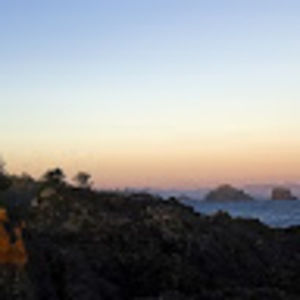 Meet your Posher, Darbie